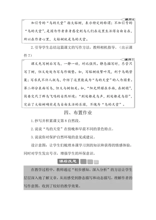 23 鸟的天堂 教案