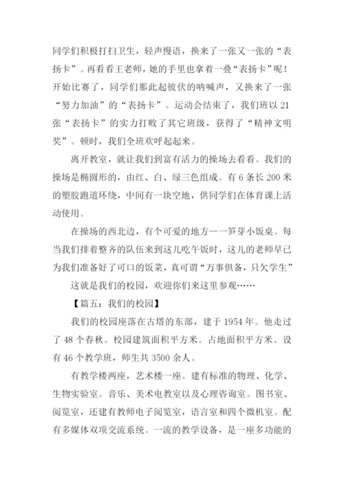我们的校园作文900字-1.docx