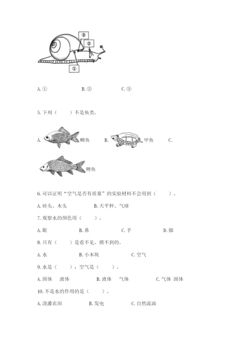 教科版一年级下册科学期末测试卷（历年真题）word版.docx