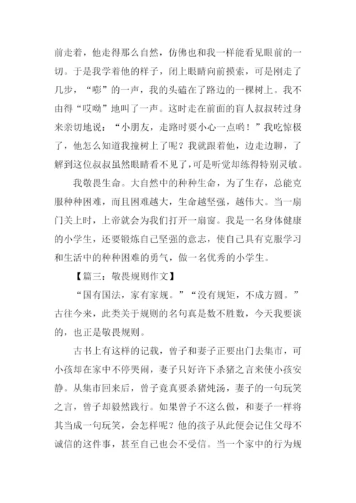 以敬畏为话题的作文.docx