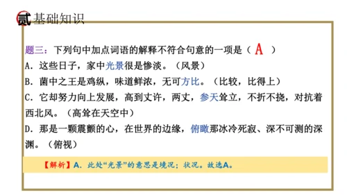 统编版语文八年级上册期末复习课件（第四单元）