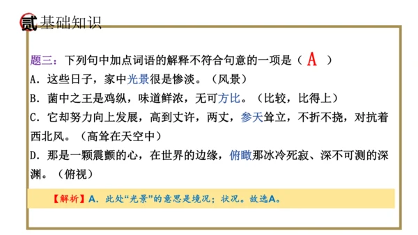 统编版语文八年级上册期末复习课件（第四单元）