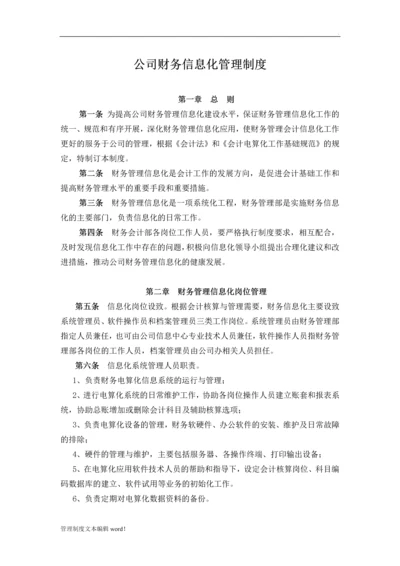 公司财务信息化管理制度.docx