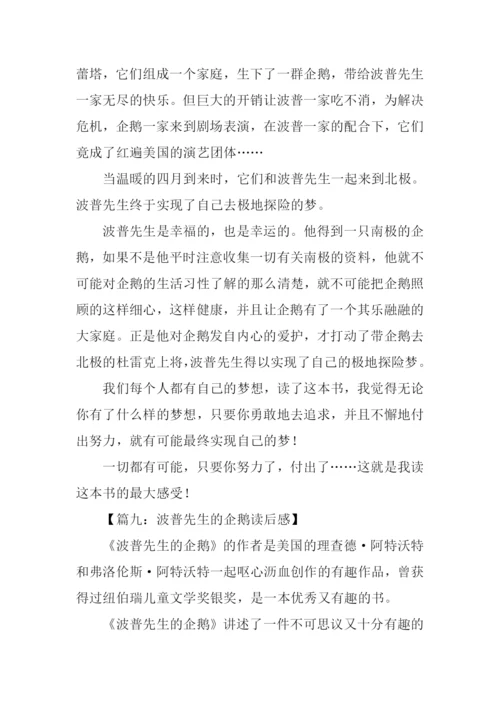 波普先生的企鹅读后感500字.docx
