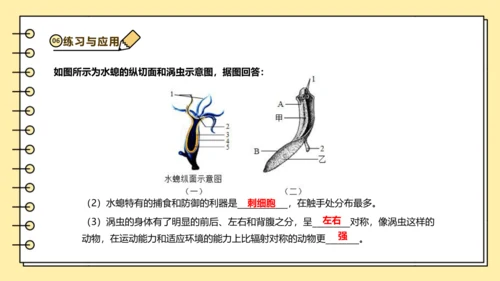人教版生物八上 5.1无脊椎动物汇总 同步备课课件(共23张PPT)