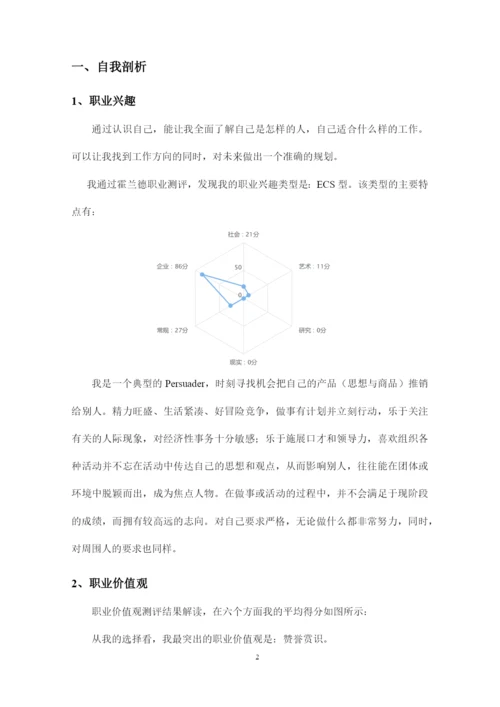 14页5000字音乐表演专业职业生涯规划.docx