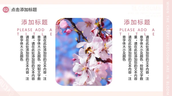 樱花画册粉色浪漫樱花季通用PPT模板
