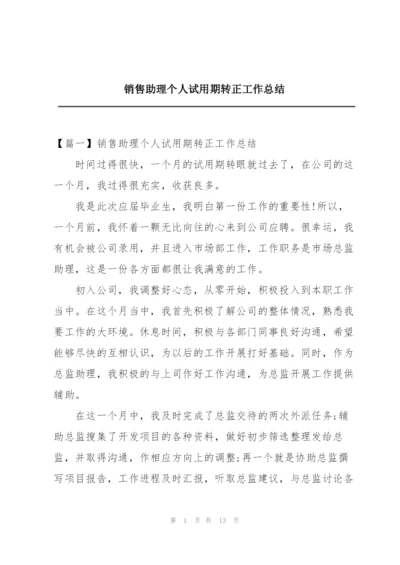 销售助理个人试用期转正工作总结.docx