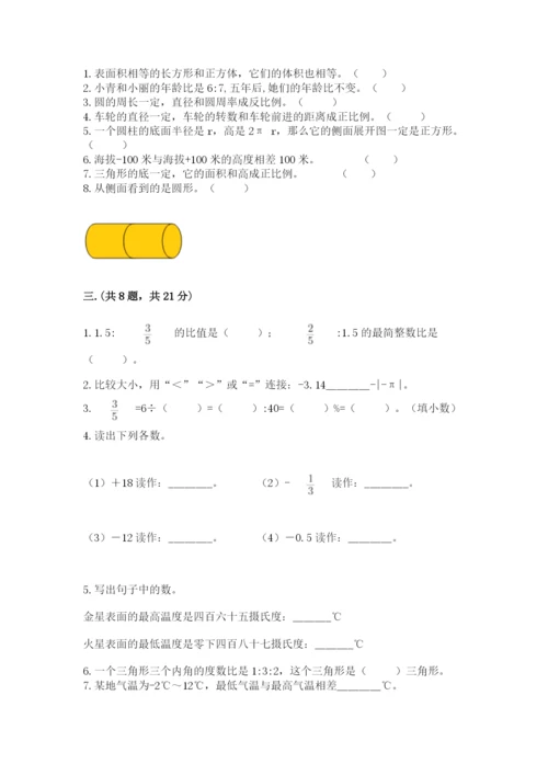 苏教版数学六年级下册试题期末模拟检测卷【各地真题】.docx