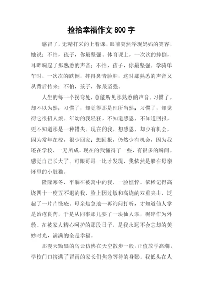 捡拾幸福作文800字-6.docx