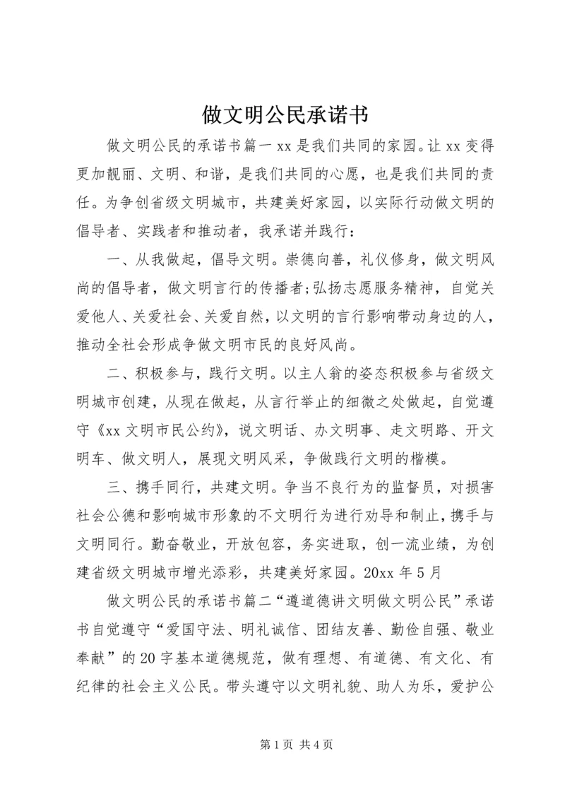 做文明公民承诺书.docx