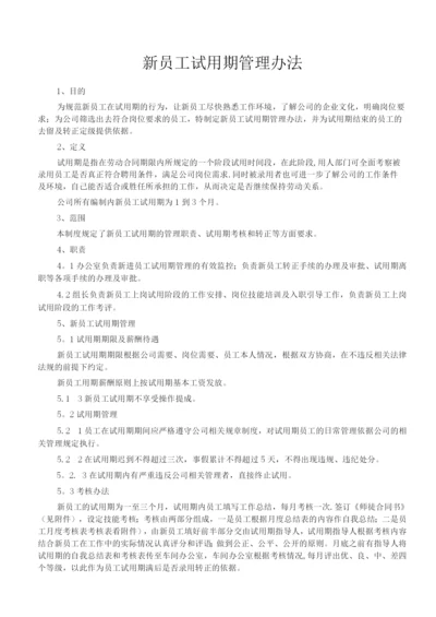 新员工试用期管理办法.docx