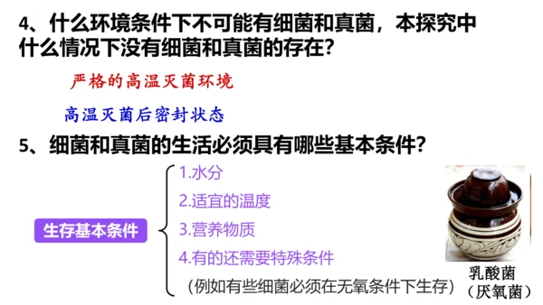 人教版生物八年级上册5.4.1《细菌和真菌的分布》课件(共22张PPT)