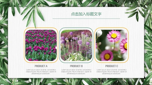 绿色环保慈善公益通用PPT模板