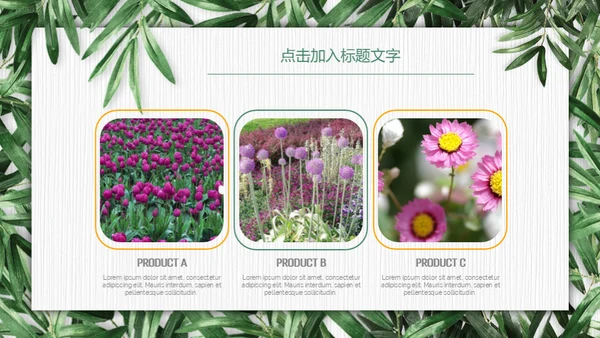 绿色环保慈善公益通用PPT模板