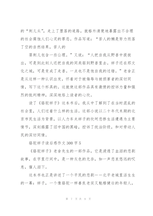 骆驼祥子读后感优秀作文300字5篇.docx