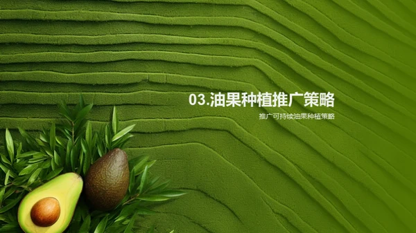 绿色未来：油果种植新篇章