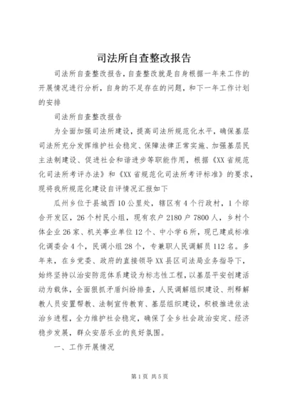 司法所自查整改报告.docx