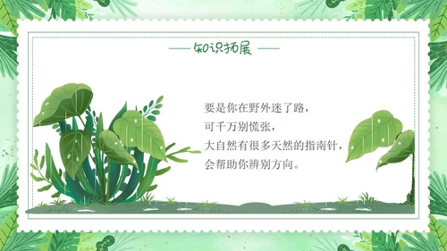 要是你在野外迷了路小清新二年级语文下册PPT小学语文二年级小学语文二年级下册课件