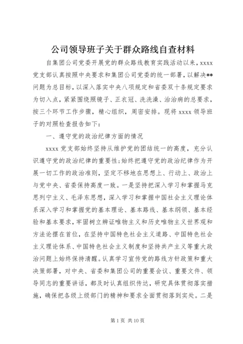 公司领导班子关于群众路线自查材料.docx