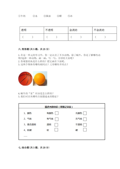 教科版一年级下册科学期末测试卷（考点梳理）.docx