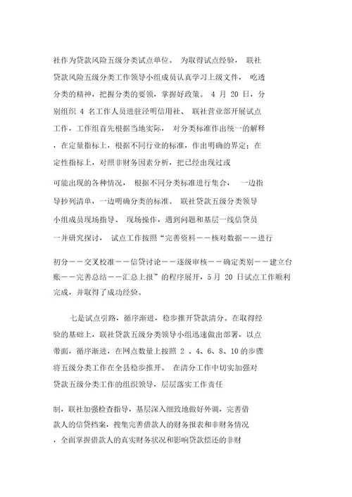贷款风险五级分类总结报告