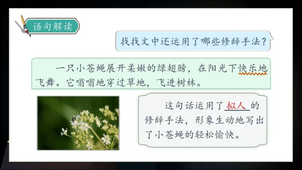 【核心素养】部编版语文四年级下册-5.琥珀 第2课时（课件）