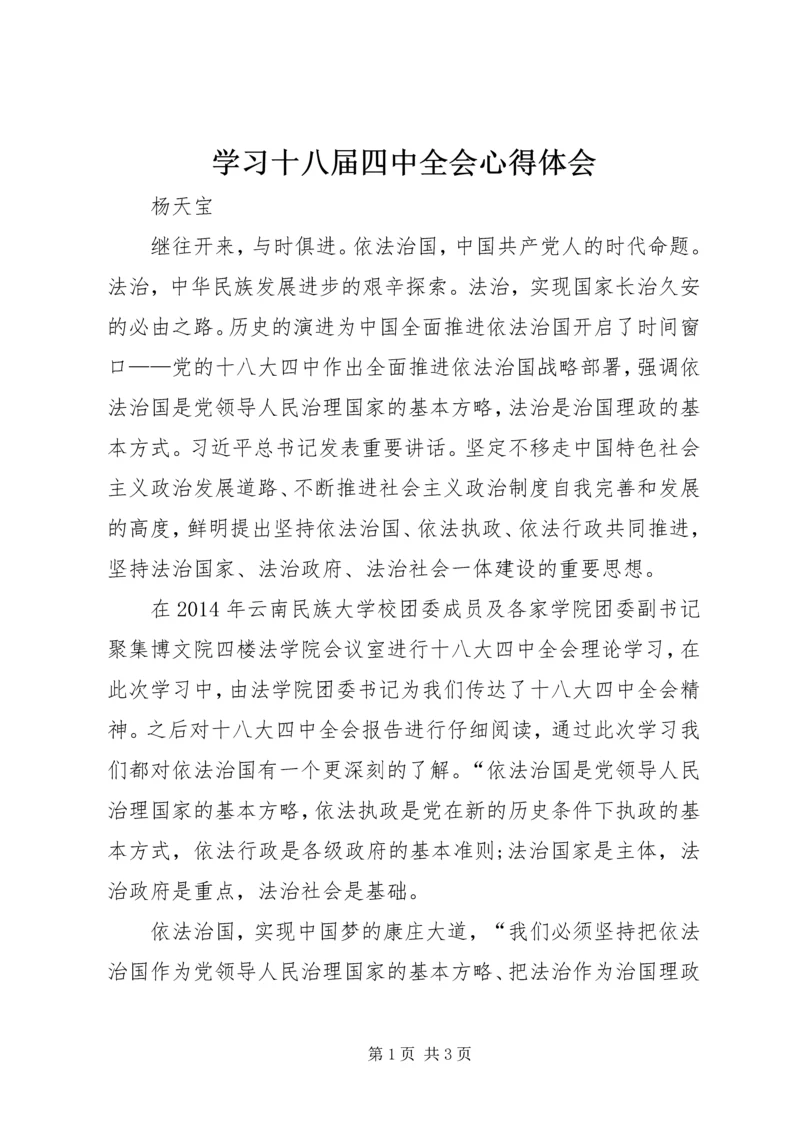 学习十八届四中全会心得体会 (13).docx