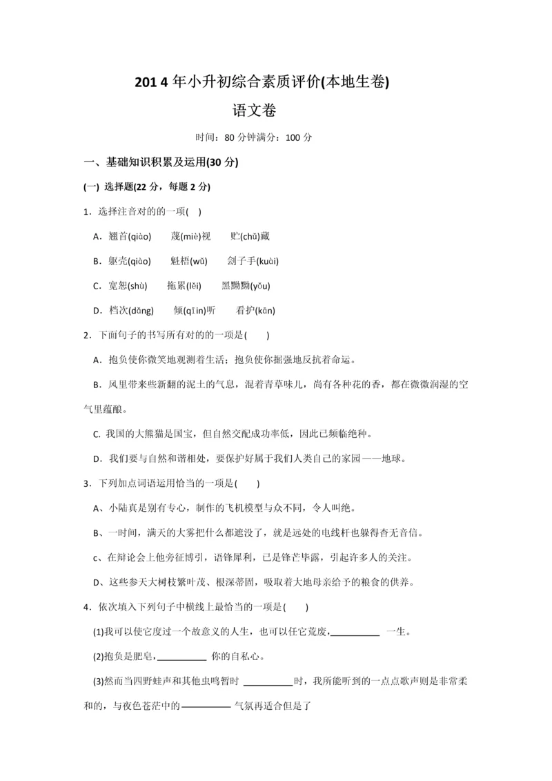 2023年小升初综合素质评价语文.docx