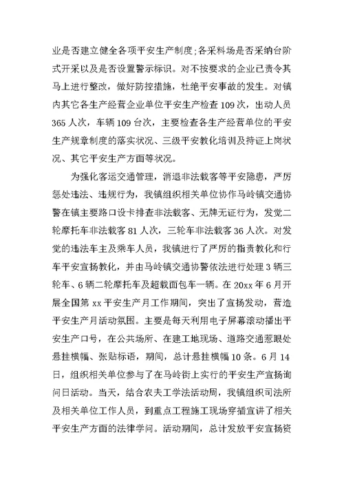 分管安全述职报告