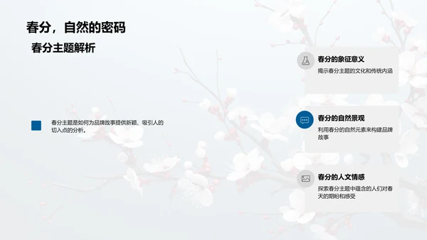 春分主题品牌故事
