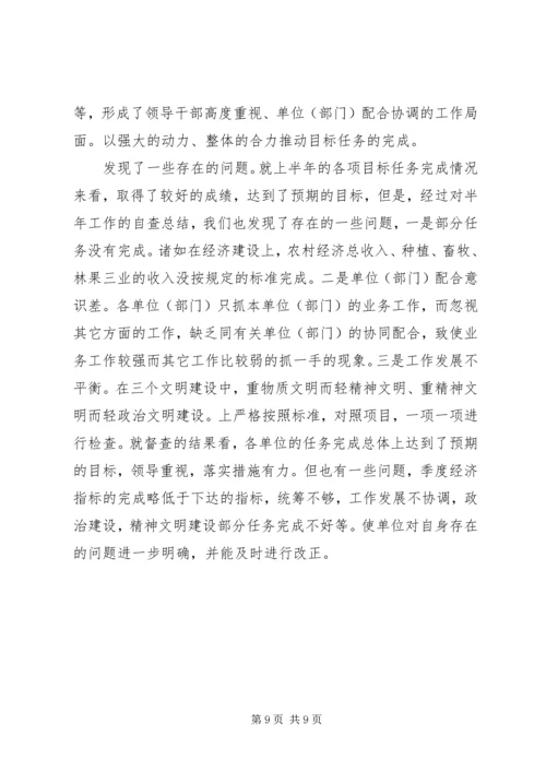 乡镇目标任务完成情况自查总结.docx