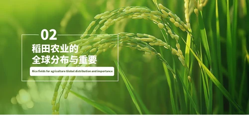 浅绿色简约风农业开题答辩PPT模板