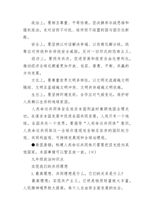 九年级下册政治知识点总结大全.docx