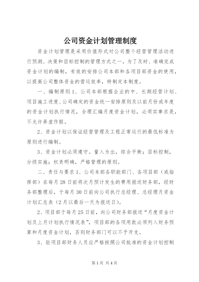 公司资金计划管理制度.docx