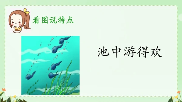 识字（二）5动物儿歌（课件）