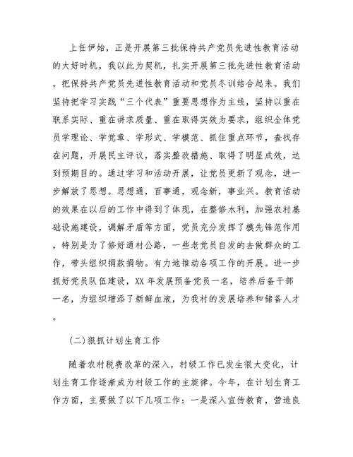 村书记年终工作总结