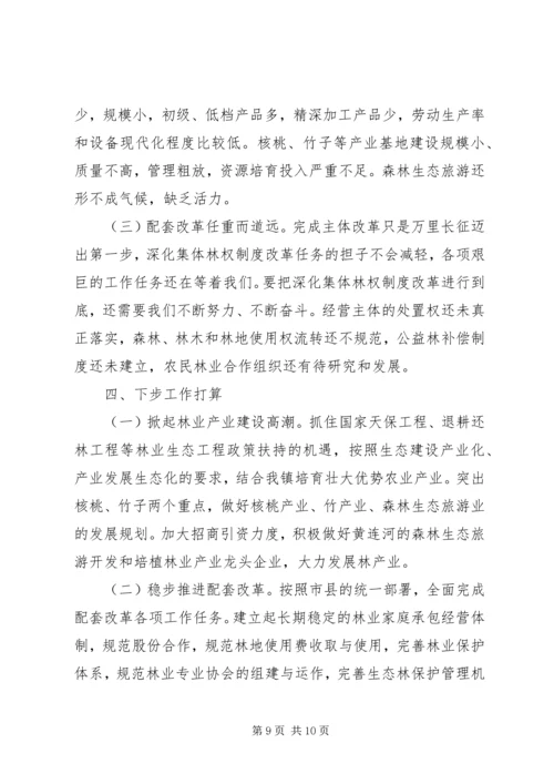 乡镇集体林权制度改革工作总结.docx