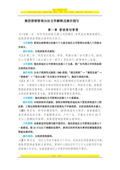 集团营销管理办法文件解释及操作指引.docx