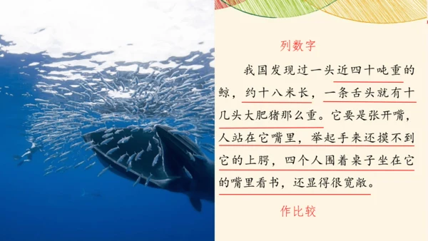 部编版五年级上册语文习作例文与习作   课件