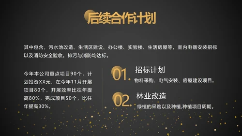 黑金工作项目总结汇报ppt模板