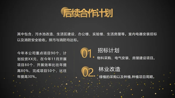 黑金工作项目总结汇报ppt模板