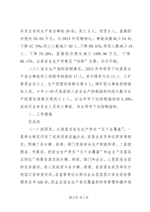 乡镇安监局年度工作总结.docx