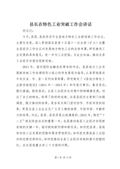 县长在特色工业突破工作会讲话.docx