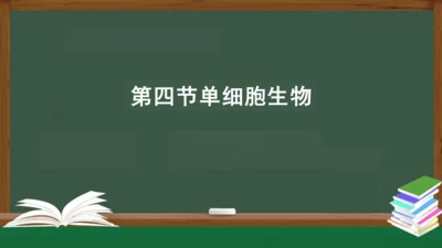 2.2.4 单细胞生物 课件（共24张PPT）