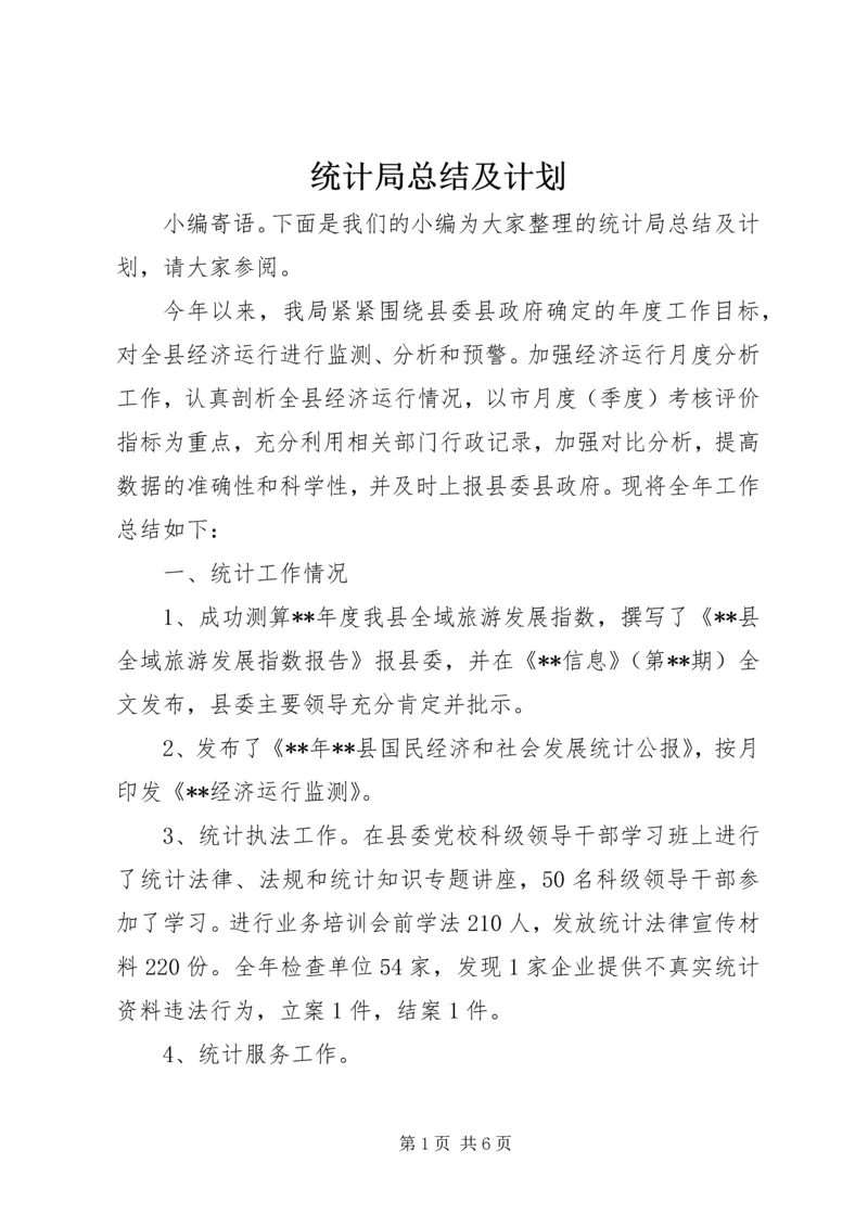 统计局总结及计划 (2).docx