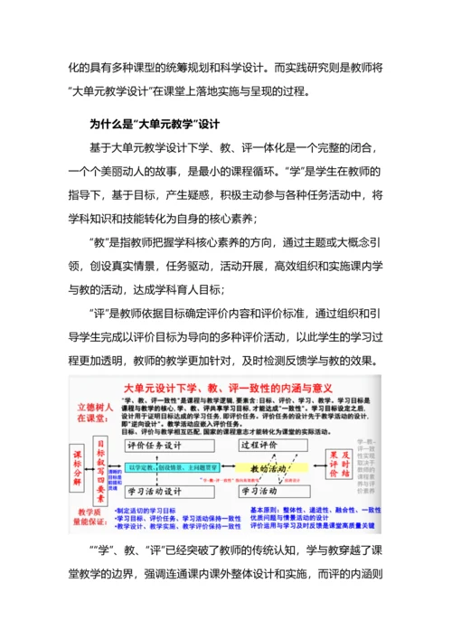 大单元教学设计下学、教、评一体化（附化学大单元教学课例分析）.docx