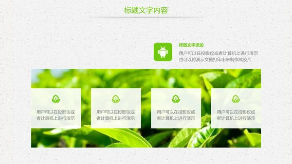 唯美绿色茶园茶文化品茶论道PPT模板