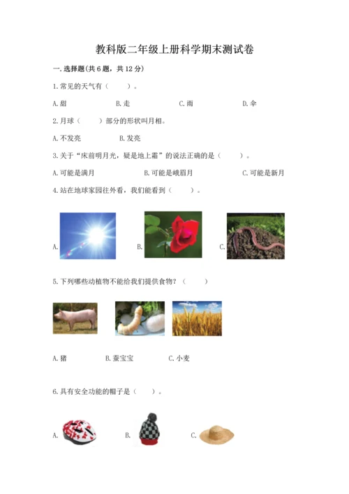 教科版二年级上册科学期末测试卷【名校卷】.docx