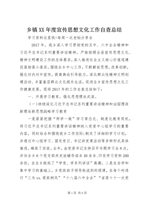 乡镇某年度宣传思想文化工作自查总结.docx